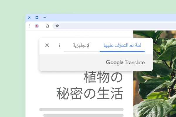 صورة لموقع إلكتروني يعرض صورة لنباتات ونصًا مترجَمًا مفاده 'الحياة السرّية للنباتات'